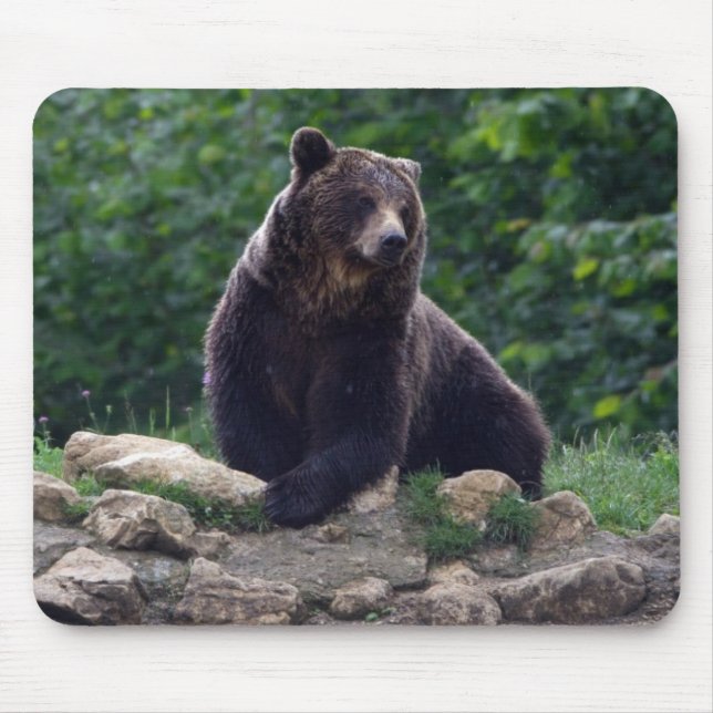 Brown bear mouse pad (Front)