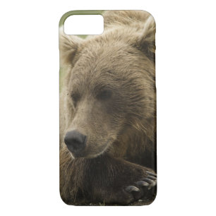 Brown bear, or Coastal Grizzly Bear, Ursus Case-Mate iPhone Case