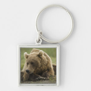 Brown bear, or Coastal Grizzly Bear, Ursus Keychain