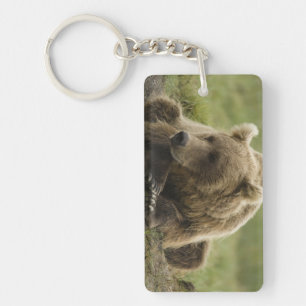 Brown bear, or Coastal Grizzly Bear, Ursus Keychain