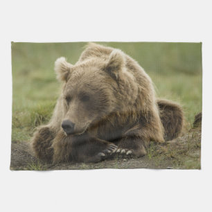 Brown bear, or Coastal Grizzly Bear, Ursus Kitchen Towel