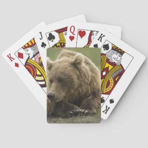 Brown bear, or Coastal Grizzly Bear, Ursus Playing Cards