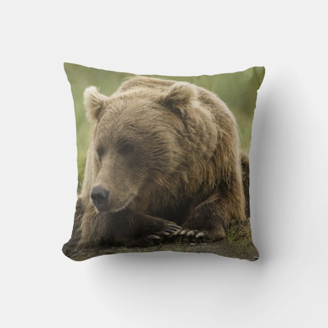 Brown bear, or Coastal Grizzly Bear, Ursus Throw Pillow (Front)