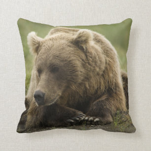 Brown bear, or Coastal Grizzly Bear, Ursus Throw Pillow