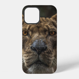 BROWN BEAR SELECTIVE FOCAL PHOTO DURING DAYTIME iPhone 12 CASE
