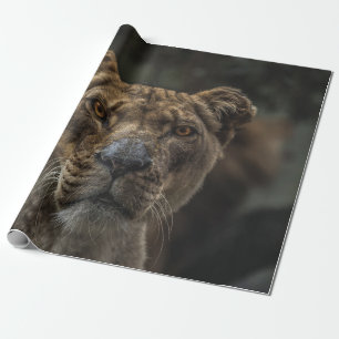 BROWN BEAR SELECTIVE FOCAL PHOTO DURING DAYTIME WRAPPING PAPER