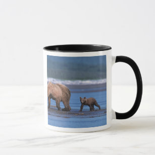 Brown Bear, Ursus arctos, Alaska Peninsula, 2 Mug