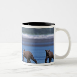 Brown Bear, Ursus arctos, Alaska Peninsula, 2 Two-Tone Coffee Mug