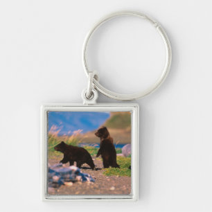 Brown Bear, Ursus arctos, Alaska Peninsula, Keychain