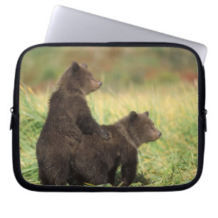 brown bear, Ursus arctos, grizzly bear, Ursus 2 Laptop Sleeve