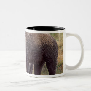 brown bear, Ursus arctos, grizzly bear, Ursus 3 Two-Tone Coffee Mug