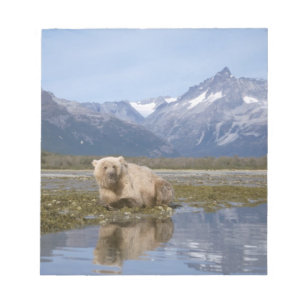 brown bear, Ursus arctos, grizzly bear, Ursus 4 Notepad