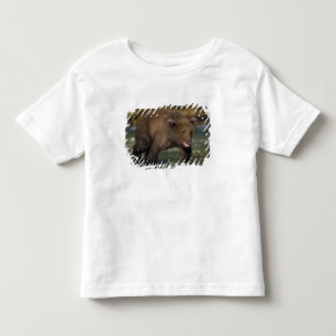 brown bear, Ursus arctos, grizzly bear, Ursus 6 Toddler T-shirt
