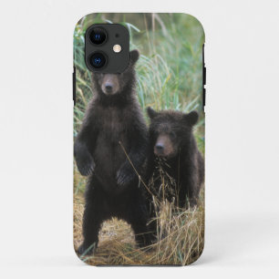 brown bear, Ursus arctos, grizzly bear, Ursus 7 2 iPhone 11 Case