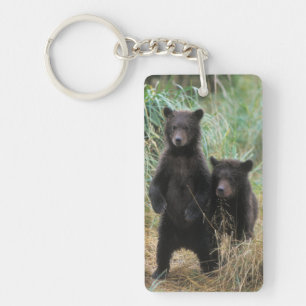 brown bear, Ursus arctos, grizzly bear, Ursus 7 2 Keychain