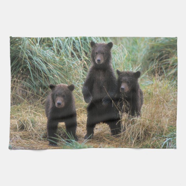 brown bear, Ursus arctos, grizzly bear, Ursus 7 2 Kitchen Towel (Horizontal)