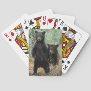 brown bear, Ursus arctos, grizzly bear, Ursus 7 2 Playing Cards