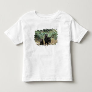 brown bear, Ursus arctos, grizzly bear, Ursus 7 Toddler T-shirt