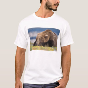 brown bear, Ursus arctos, grizzly bear, Ursus 8 T-Shirt