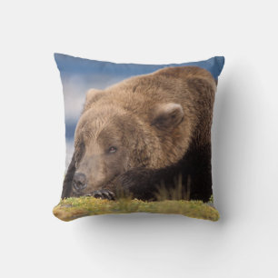brown bear, Ursus arctos, grizzly bear, Ursus 8 Throw Pillow