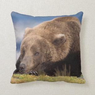 brown bear, Ursus arctos, grizzly bear, Ursus 8 Throw Pillow