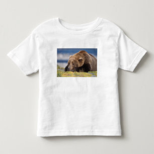 brown bear, Ursus arctos, grizzly bear, Ursus 8 Toddler T-shirt