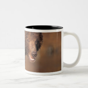 brown bear, Ursus arctos, grizzly bear, Ursus 8 Two-Tone Coffee Mug