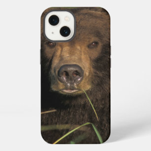 brown bear, Ursus arctos, grizzly bear, Ursus 9 iPhone 13 Case