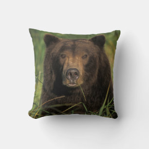 brown bear, Ursus arctos, grizzly bear, Ursus 9 Throw Pillow