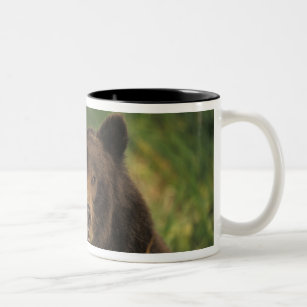 brown bear, Ursus arctos, grizzly bear, Ursus 9 Two-Tone Coffee Mug