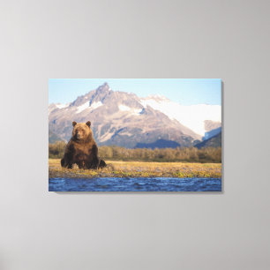 brown bear, Ursus arctos, grizzly bear, Ursus Canvas Print