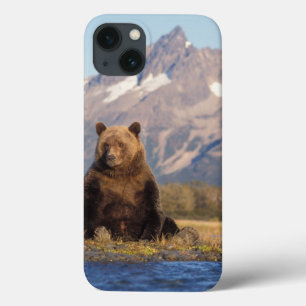 brown bear, Ursus arctos, grizzly bear, Ursus iPhone 13 Case