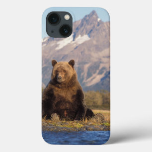 brown bear, Ursus arctos, grizzly bear, Ursus iPhone 13 Case