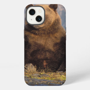 brown bear, Ursus arctos, grizzly bear, Ursus iPhone 13 Case
