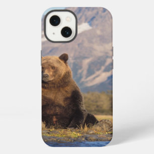 brown bear, Ursus arctos, grizzly bear, Ursus iPhone 13 Case