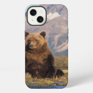 brown bear, Ursus arctos, grizzly bear, Ursus iPhone 13 Case