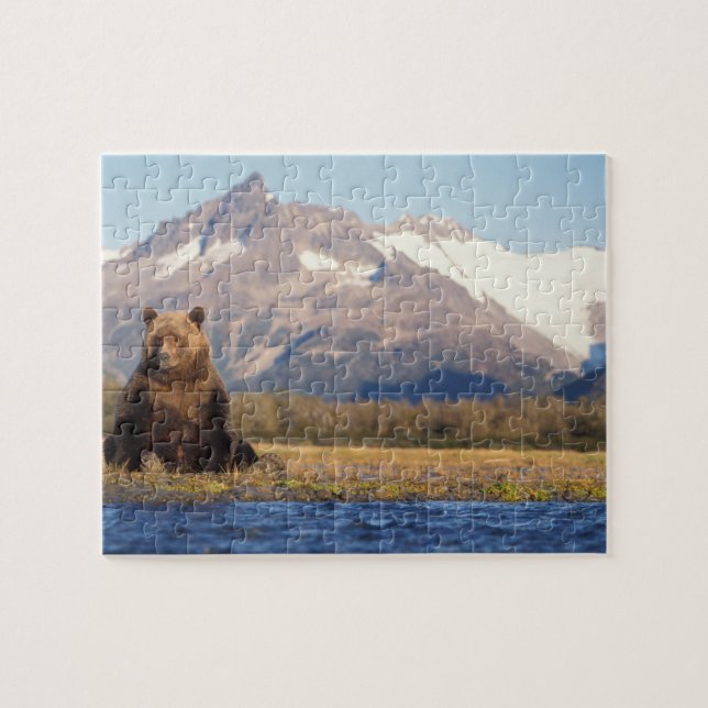 brown bear, Ursus arctos, grizzly bear, Ursus Jigsaw Puzzle (Horizontal)