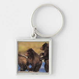 brown bear, Ursus arctos, grizzly bear, Ursus Keychain