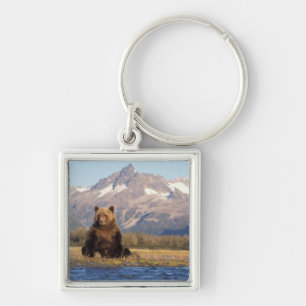 brown bear, Ursus arctos, grizzly bear, Ursus Keychain