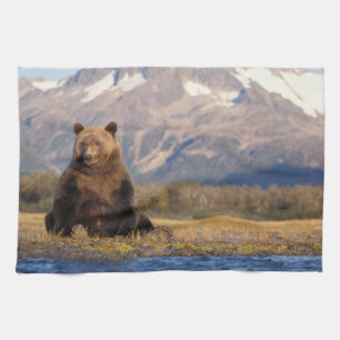 brown bear, Ursus arctos, grizzly bear, Ursus Kitchen Towel