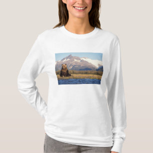 brown bear, Ursus arctos, grizzly bear, Ursus T-Shirt