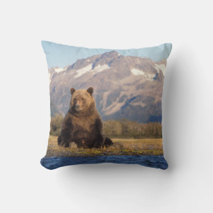 brown bear, Ursus arctos, grizzly bear, Ursus Throw Pillow
