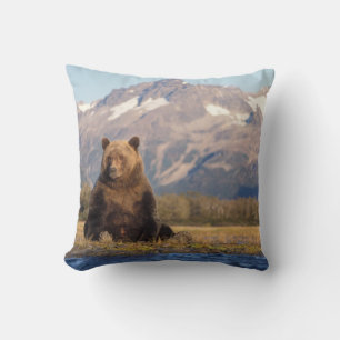 brown bear, Ursus arctos, grizzly bear, Ursus Throw Pillow