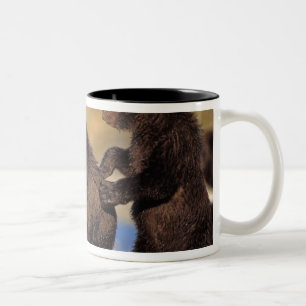 brown bear, Ursus arctos, grizzly bear, Ursus Two-Tone Coffee Mug