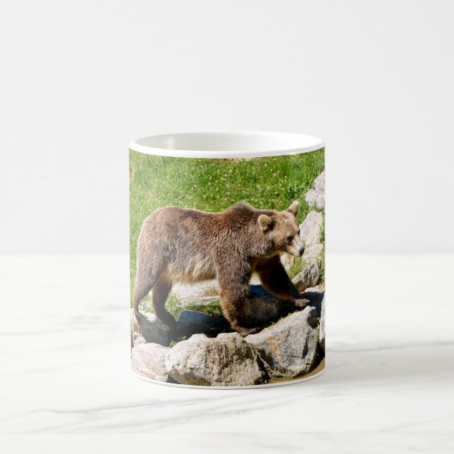 Brown bear (Ursus arctos) seen from profile Coffee Mug (Center)