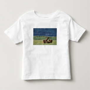 Brown Bears at play, Ursus arctos, Alaska Toddler T-shirt