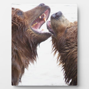 Brown Bears Plaque