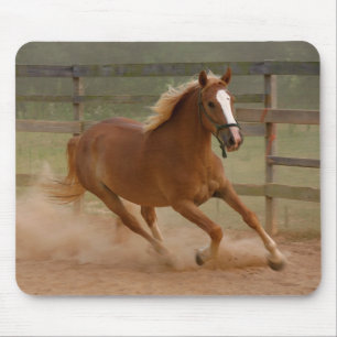 Brown Beauty Mousepad