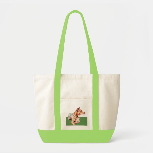 Brown Bertha Bag (Front)