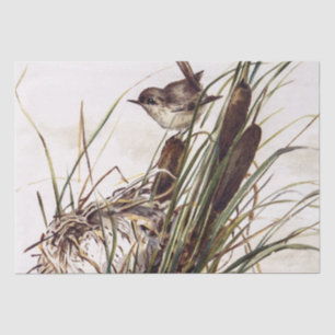 Brown Bird and Nest Decoupage Set Wren 2 of 4 Tissue Paper